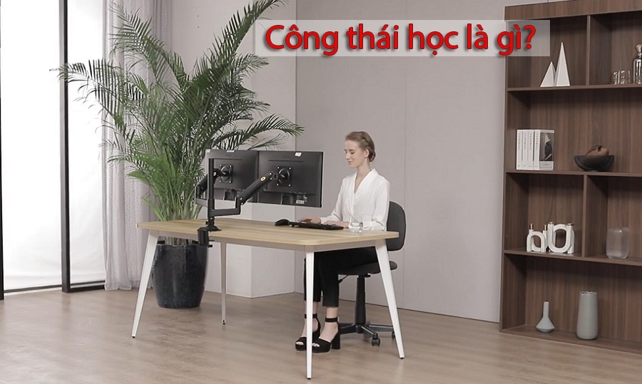 Công thái học là gì?